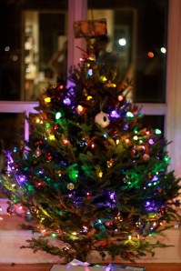 photo care of Jaime Woo (www.jaimewoo.com)